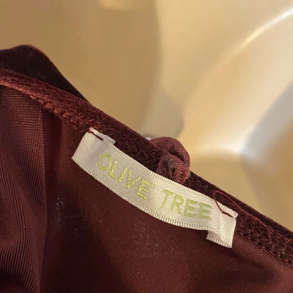 Olive Tree Velvet Burgundy Vneck Lace Camisole - Picture 3 of 4